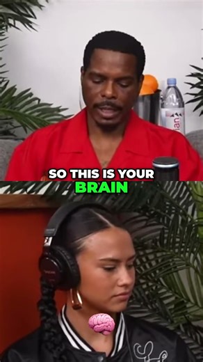 Your Brain Is a Phone - Self Programming Explained!