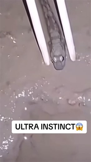 PEAK ULTRA INSTINCT 2!! 🔥🤯 #ultrainstinct #part2 #goku