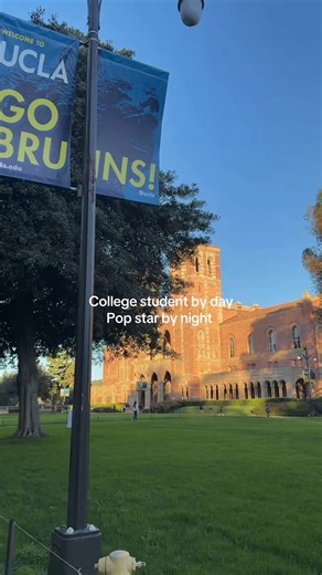 Mastering Metaphors: College Student to Pop Star
