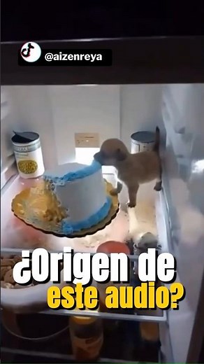 El origen del meme "Darling Hold My Hand" de Tik Tok #shorts