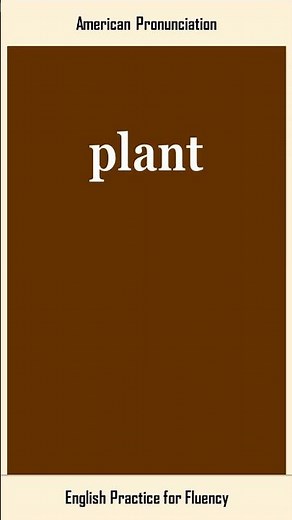 plant, How to Say or Pronounce PLANT in American, British English, Pronunciation