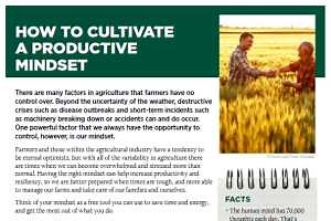 How to Cultivate a Productive Mindset