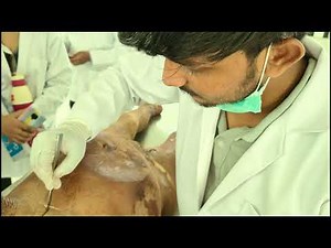 Dissection of dead body | first day of dissection