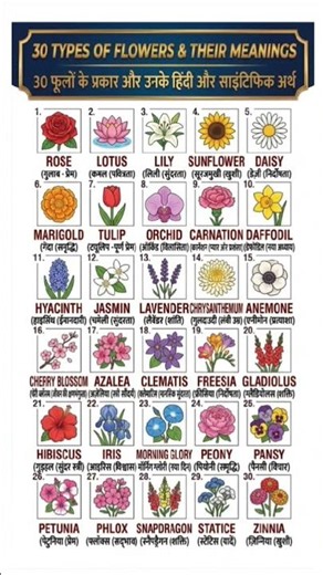 30 Types Of Flowers| All Flowers name in english| #shorts #shortsfeed #flowers