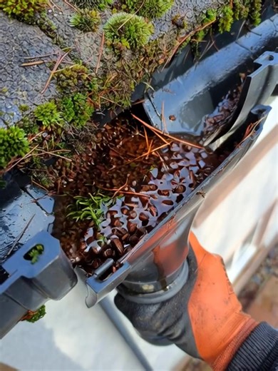 Downpipe Unblock #roofing #plumbing #drainage #satisfyingvideo #satisfying #viral Gutter Clean Clackmannanshire | Gutter Clean Clackmannanshire