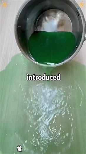 Exploring the New Frozen World at Disneyland Paris