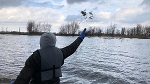 Wild Rice seeding underway in Green Bay waters near Marinette