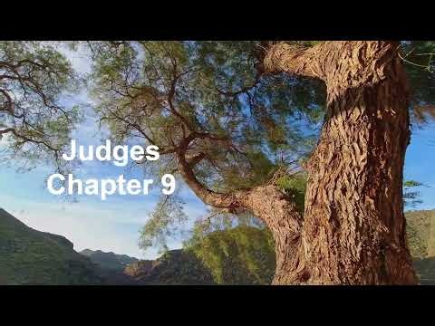 The Book of Judges Chapter 9 - New King James Version (NKJV) - Theatrical Audio Bible