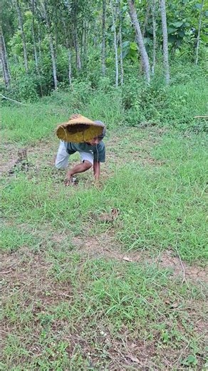 catching a tiger cub using simple tools #nature #shorts #shortsvideo