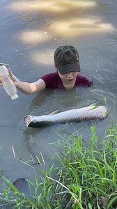 6.2K views · 38 reactions | Amazing Fish Trapping Skills | Emma's Fishing | Facebook