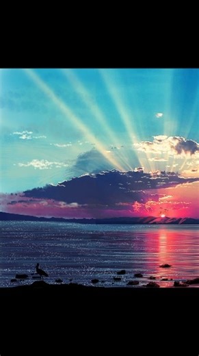 Sunrise drawing tutorial ibis paint x #art #drawing #tutorial #ibispaint #digitalart #shorts