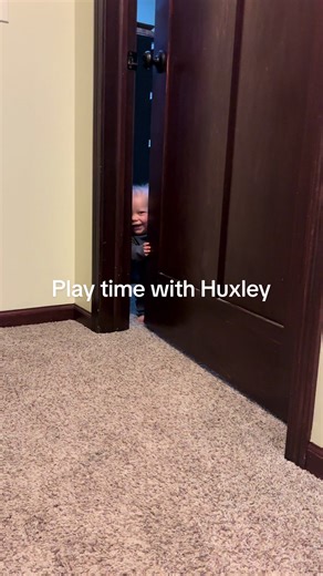 This little lady is so busy these days! She loves her puppies and can’t wait until the day they listen to her😂 Also loves a good game of hide n seek! #dwarfism #CHH #medicalmom #toddlersoftiktok #dogsoftiktok