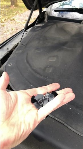 DODGE HOOD LINER CLIPS & WASHER HOSE