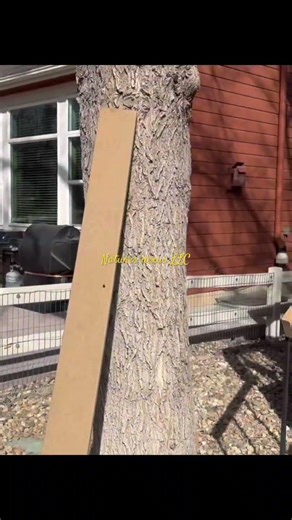 Deck stairs repair #repair