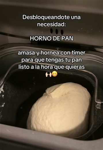 Horno de pan: cómo amasar y hornear con timer para pan casero