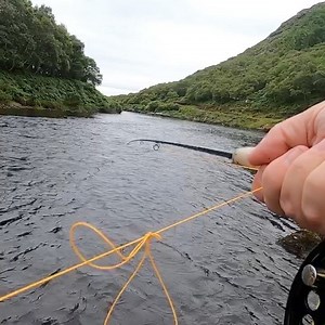 265K views · 2.8K reactions | Timing is everything. gbsct | Loop Tackle | Facebook