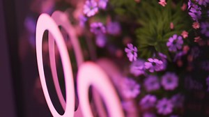 GoogleDesign Wallpaper