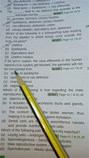 Human reproduction #neet