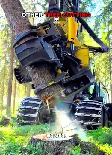 Other Tree Cutting vs This One 🌳🪓