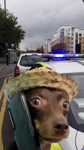 Understanding Temporary Insurance: A Comprehensive Guide