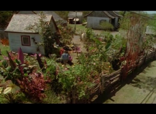 Nico the Unicorn - trailer