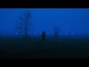 øneheart, liminalyx - distant