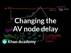 Changing the AV node delay - chronotropic effect | NCLEX-RN | Khan Academy
