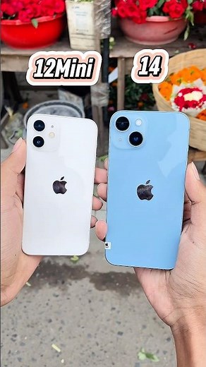 iPhone 12 Mini Vs iPhone 14 || Camera Zoom Test! #shorts #shortsvideo