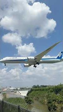 🇯🇵 ANA Boeing 787-10 Dreamliner domestic Okinawa Naha To Osaka Itami Airport 伊丹空港 千里川土手 スカイパーク