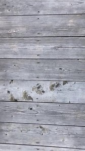 4.2M views · 81K reactions | Browning SA-22 #asmr #satisfying #slime #asmrcommunity #asmrsounds #oddlysatisfying #satisfyingvideos #mukbang #asmreating #asmrvideo #asmrfood #slimeasmr #food #mukbangasmr #relax #explorepage #asmrrelax #crunchyslime #satisfy #butterslime #satisfyingslime #slimevideo #asmrslime #satisfyingvideo #relaxing #crunchy #crunch #clearslime #asmrsound #asmrsponge | Short AOR | Facebook