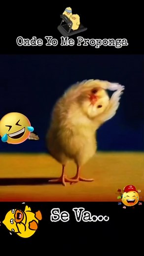 Dayami Venereo,APRN ♊️🌙⚓️ on Instagram