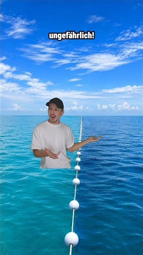 Wenn man zu weit hinaus in das Meer schwimmt 🌊🤣