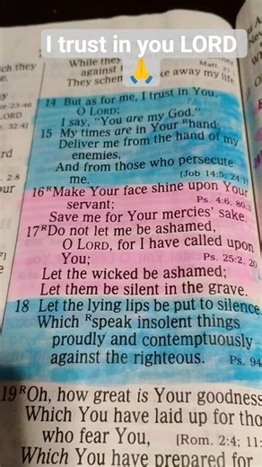 psalms 31-14:18 I trust in you LORD 🙏