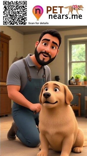 Springbrook Kennels - Pet Boarding Service in Wilmington, Illinois | Pet Near Me 286