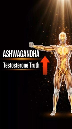 What Ashwagandha Really Does To Testosterone 🧬