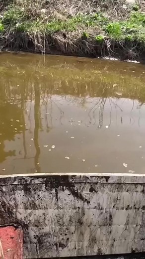 6.9K views · 152 reactions | Little Antique Tea Pot Found Magnet Fishing! #magnetfishing | The Fisher | Facebook