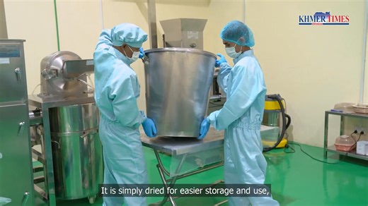 One of the key ingredients in Cambodian cuisine is fermented fish paste. Though known for its pungent smell, it doesn't repel diners—instead, it draws them in, enhancing the flavor and enjoyment of the dish. Fermented fish paste is a traditional Khmer product that has now been transformed into Cambodia’s first powdered fish paste. | Khmer Times