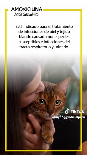 My Doggy Amoxicilina con Ácido Clavulánico #mascotas #petstagram #gatos #cats #dog #lima ##peru #petlovers