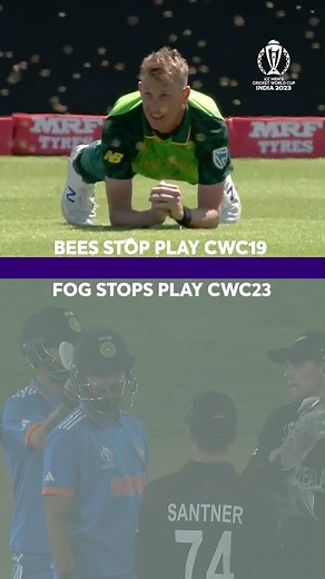 What next? 🐝☁️ #CWC23 | ICC - International Cricket Council