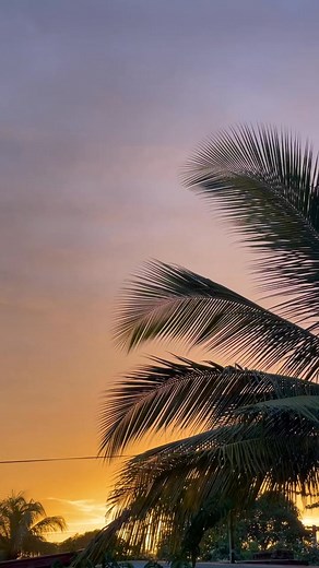 1.5K views | Chasing sunset and collecting movements #beaches #sunset #beautiful #travel #sunsetvibes #naturelovers | Beach walk 8k | Facebook