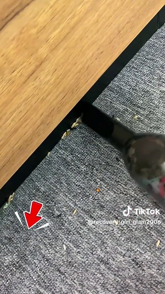 Ultimate Guide to Car Cleaning with a Mini Vacuum