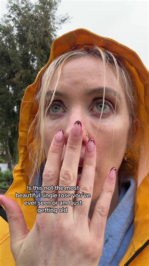 The Beauty of a Single Red Rose Explained