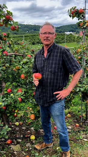 12K views · 559 reactions | ✨ Honeycrisp Festival is THIS weekend at...