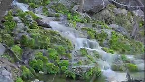 9.9K views · 623 reactions | A central Texas ranch that’s home to springs and crucial wildlife habitat is now safeguarded from future development. Read about Honey Creek Spring Ranch at https://bit.ly/HoneyCreekRanch The Nature Conservancy in Texas | Texas Parks and Wildlife | Facebook