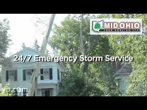 Mid Ohio Tree Service Ltd. | Central Ohio | Lancaster