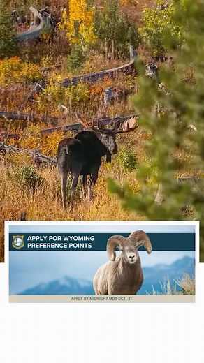 19 reactions | The Vegas Shoot: “the largest and most prestigious indoor archery tournament in the world. The event brings together nearly 4,000 archers from around the globe ranging from beginner archers to Olympic champions.” @thevegasshoot #mavenbuilt #mavenoptics #archerymaven #thevegasshoot #lasvegas | Maven | Facebook