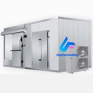 [Hot Item] Premium Solar-Powered Cold Room for Efficient Food Storage