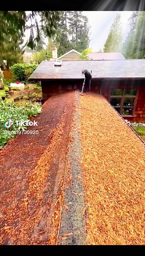 Roof Cleaning Techniques for Leaf Removal
