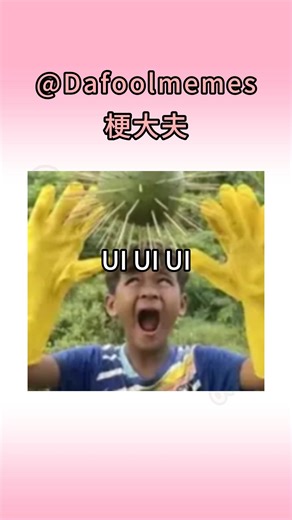 dafool梗大夫 on Instagram: "UI UI UI是什么梗？#memes #uiuiui #ui #oioioi"