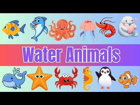 Water Animals | Water Animals for Kids | Learn Ocean Animal Names | Cambridge LKG Awareness
